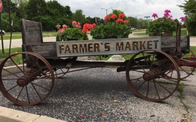 If It’s Spring, See Simon’s Gardens